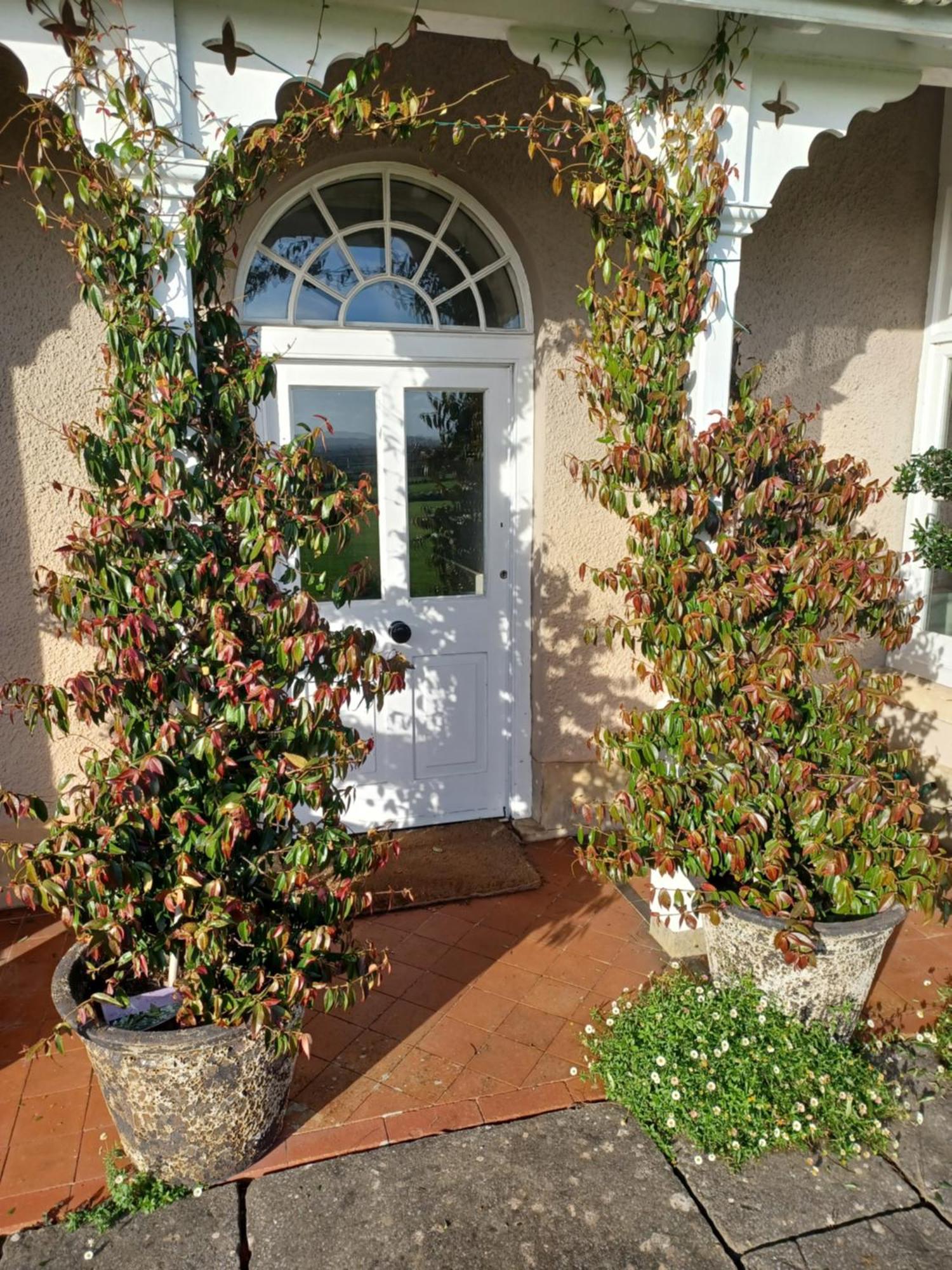 Bed and Breakfast Rusling House Butcombe Exterior foto